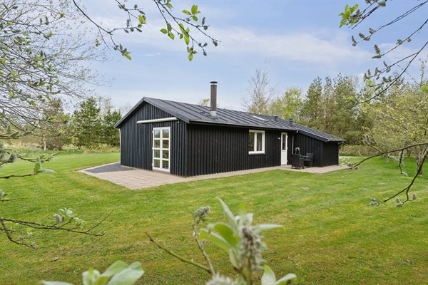 Ferienhaus 10-3134 - Hauptfoto