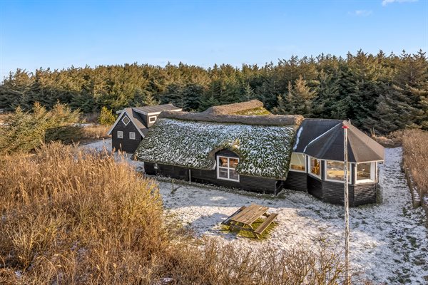 Ferienhaus 20-1131 - Hauptfoto