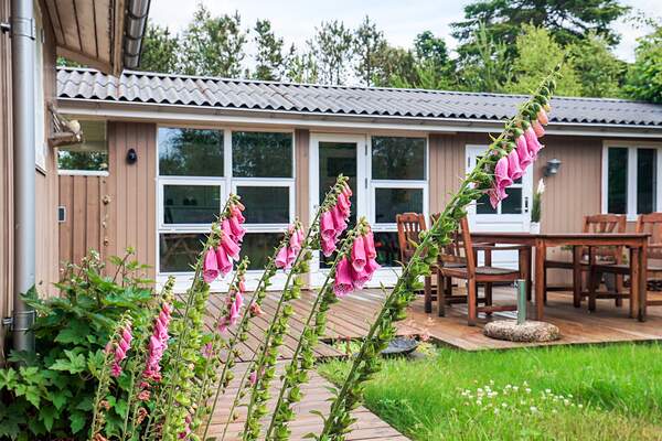 Ferienhaus 08441 - Hauptfoto