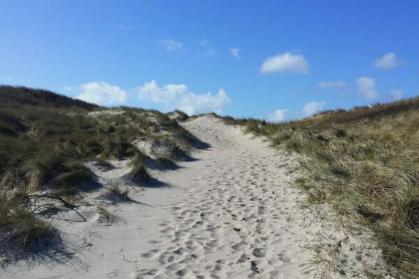 Ferienhaus 44297 - Hauptfoto