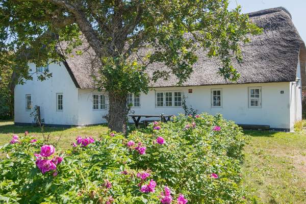 Ferienhaus 67442 - Hauptfoto