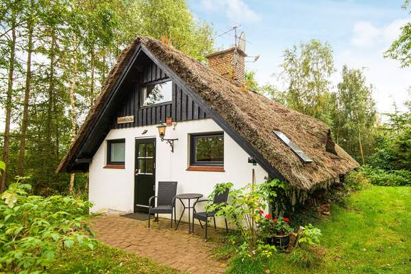 Ferienhaus 91334 - Hauptfoto
