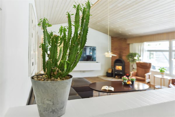 Ferienhaus 22-1155 - Hausfoto 11