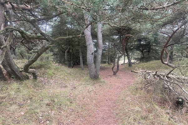 Ferienhaus 25-5053 - Hauptfoto