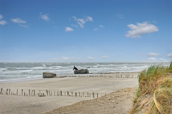 Ferienhaus 26-0388 - Hausfoto 2