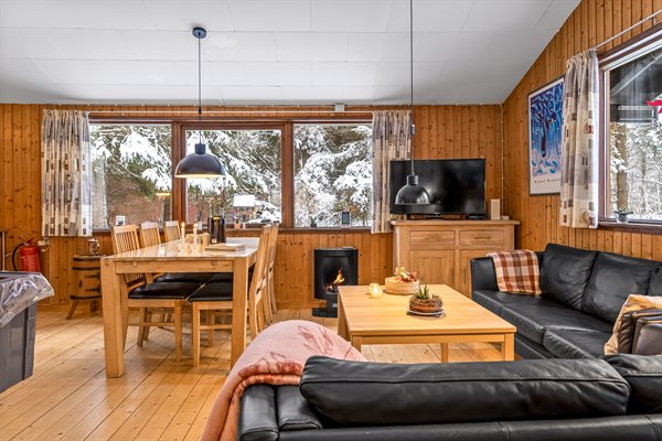 Ferienhaus 45-4136 - Hauptfoto