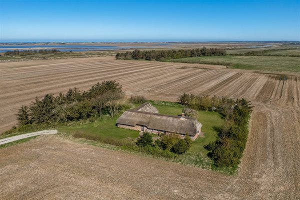 Ferienhaus 21-1099 - Hauptfoto