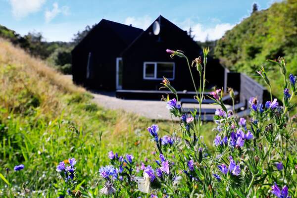 Ferienhaus 05872 - Hausfoto 5