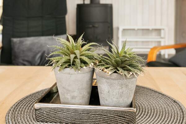 Ferienhaus 27553 - Hausfoto 5