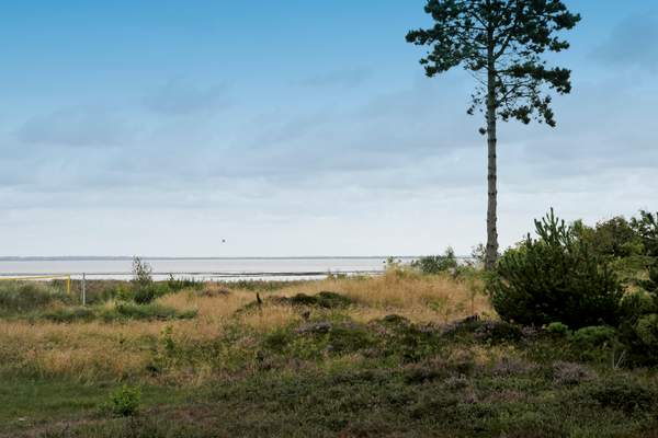 Ferienhaus 38915 - Hausfoto 24