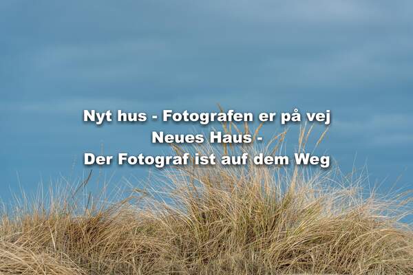 Ferienhaus 53916 - Hausfoto 9