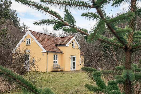 Ferienhaus 64761 - Hauptfoto