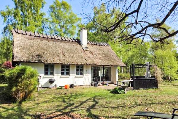 Ferienhaus 65202 - Hauptfoto