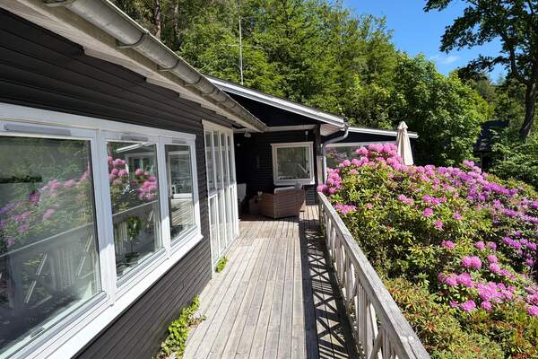 Ferienhaus 65739 - Hauptfoto