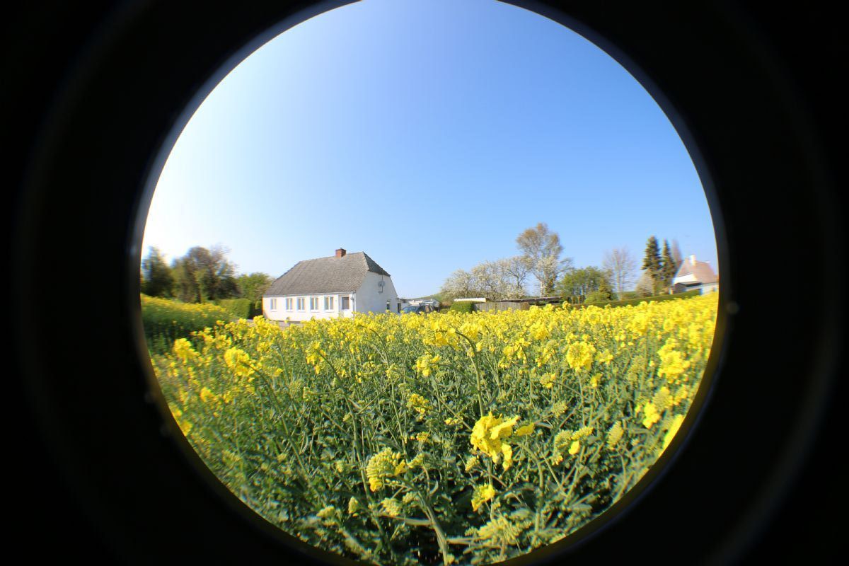Ferienhaus 3312 - Hauptfoto