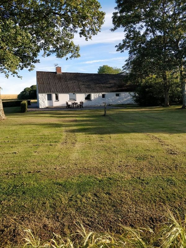 Ferienhaus 3321 - Hauptfoto