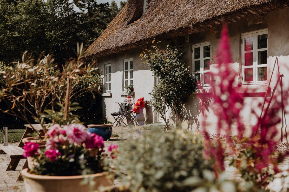 Ferienhaus 3667 - Hauptfoto