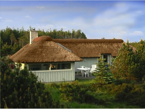 Ferienhaus 3207 - Hauptfoto
