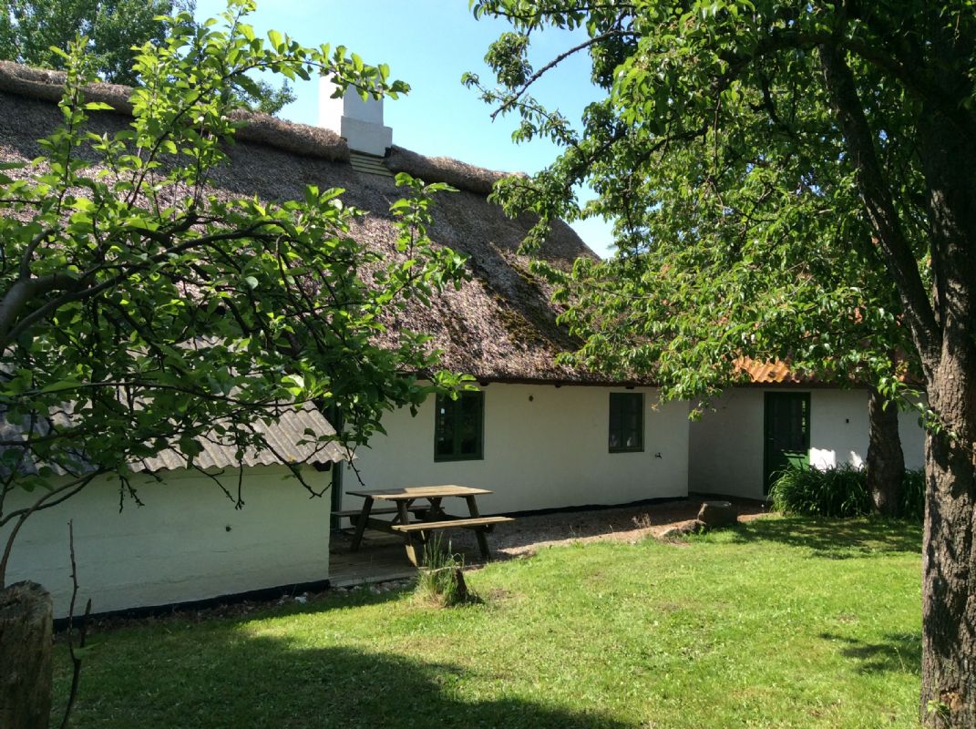 Ferienhaus 2180 - Hausfoto 6