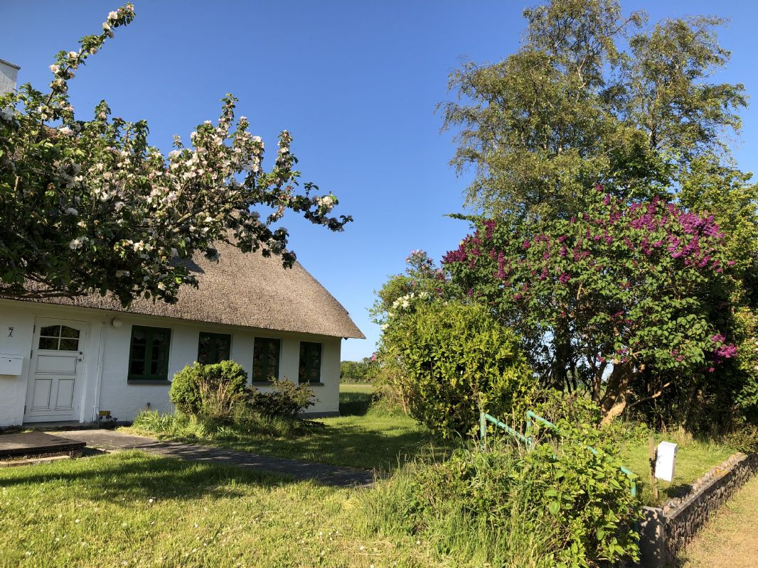 Ferienhaus 2180 - Hausfoto 17