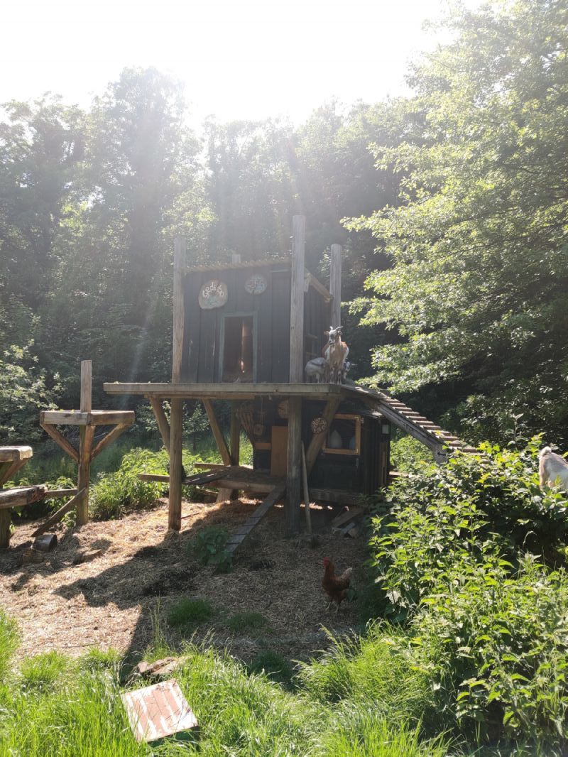 Ferienhaus 2848 - Hausfoto 13