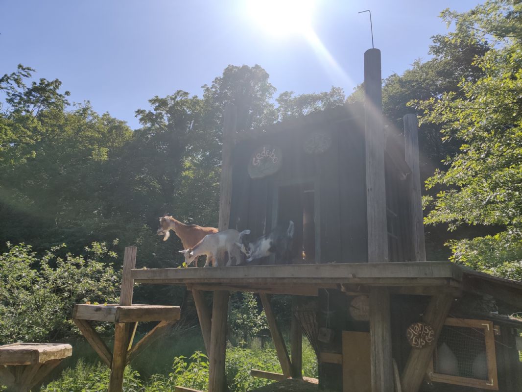 Ferienhaus 2848 - Hausfoto 14