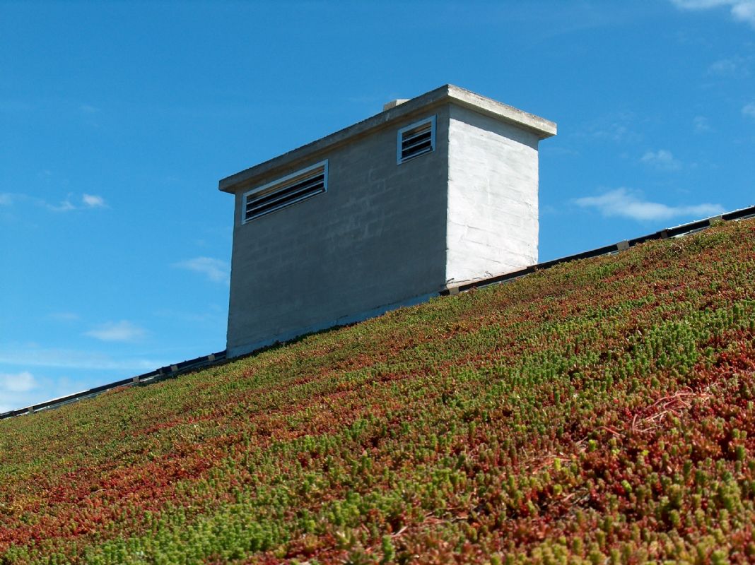 Ferienhaus 3297 - Hausfoto 8