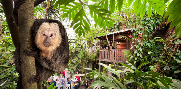 Randers Regnskov Tropen Zoo