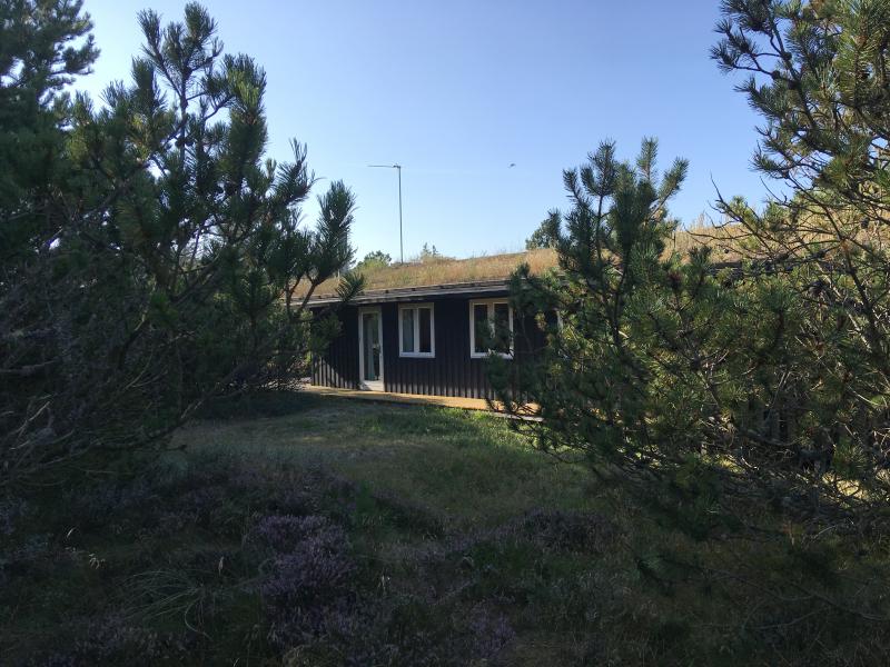 Sommerhus 3229