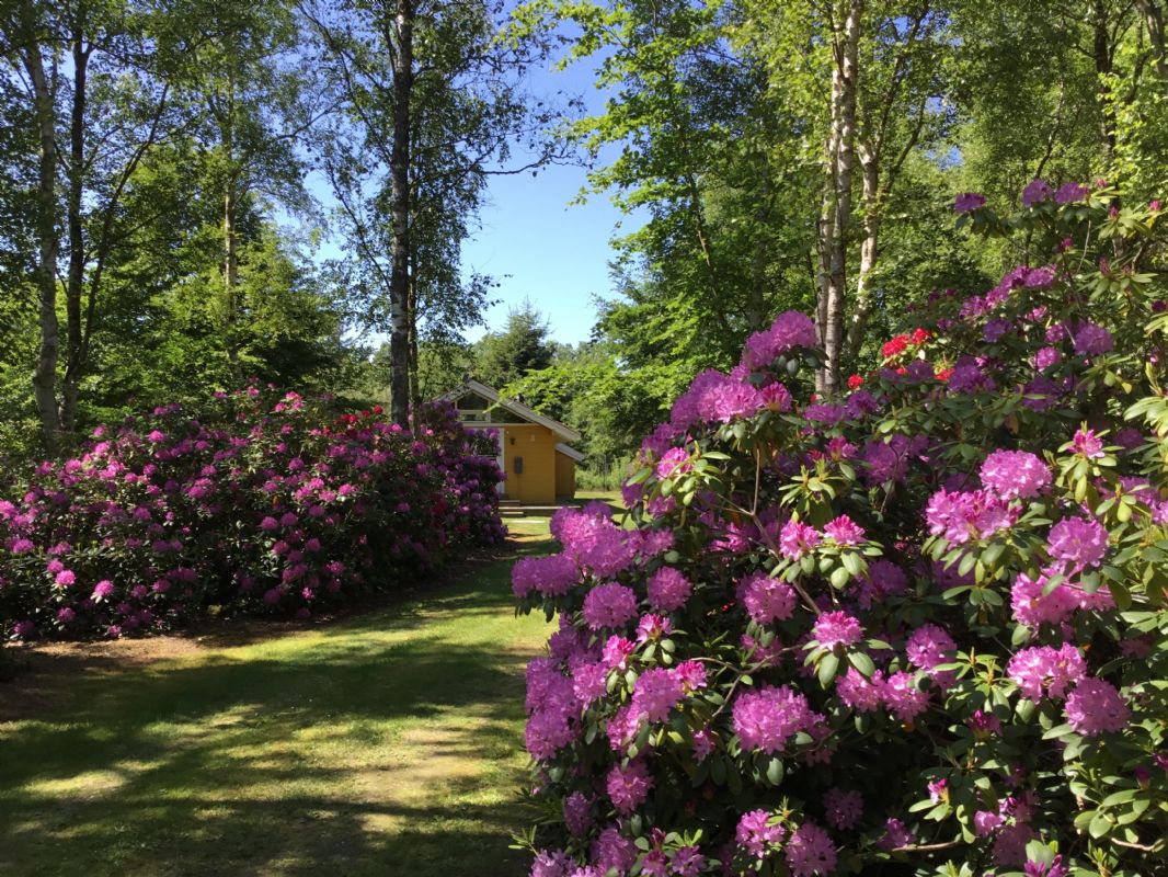 Sommerhus 3053