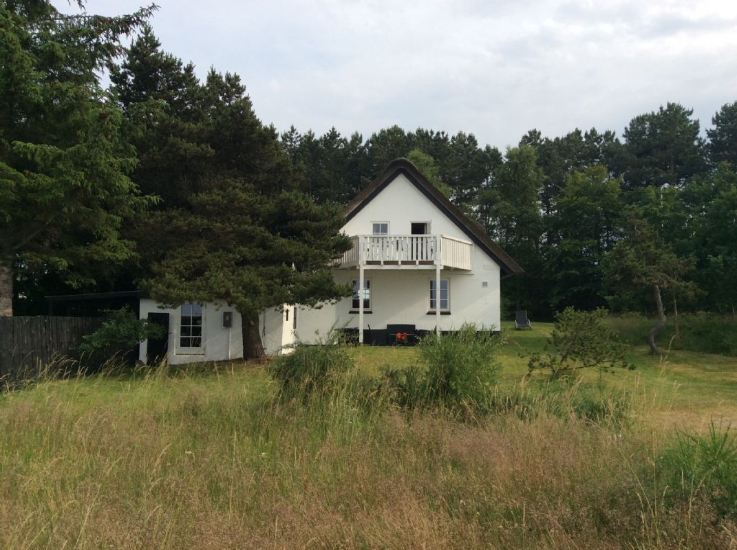 Sommerhus 2181