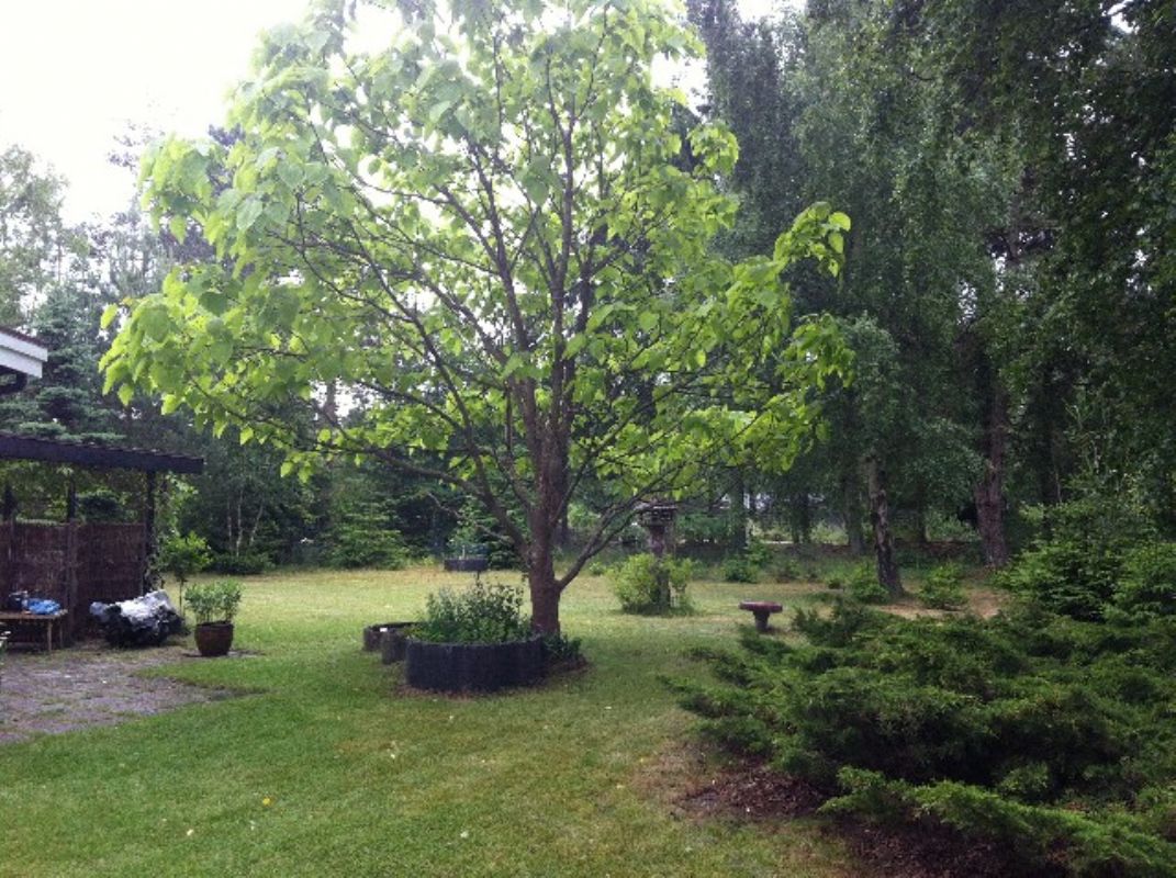 Sommerhus 3294