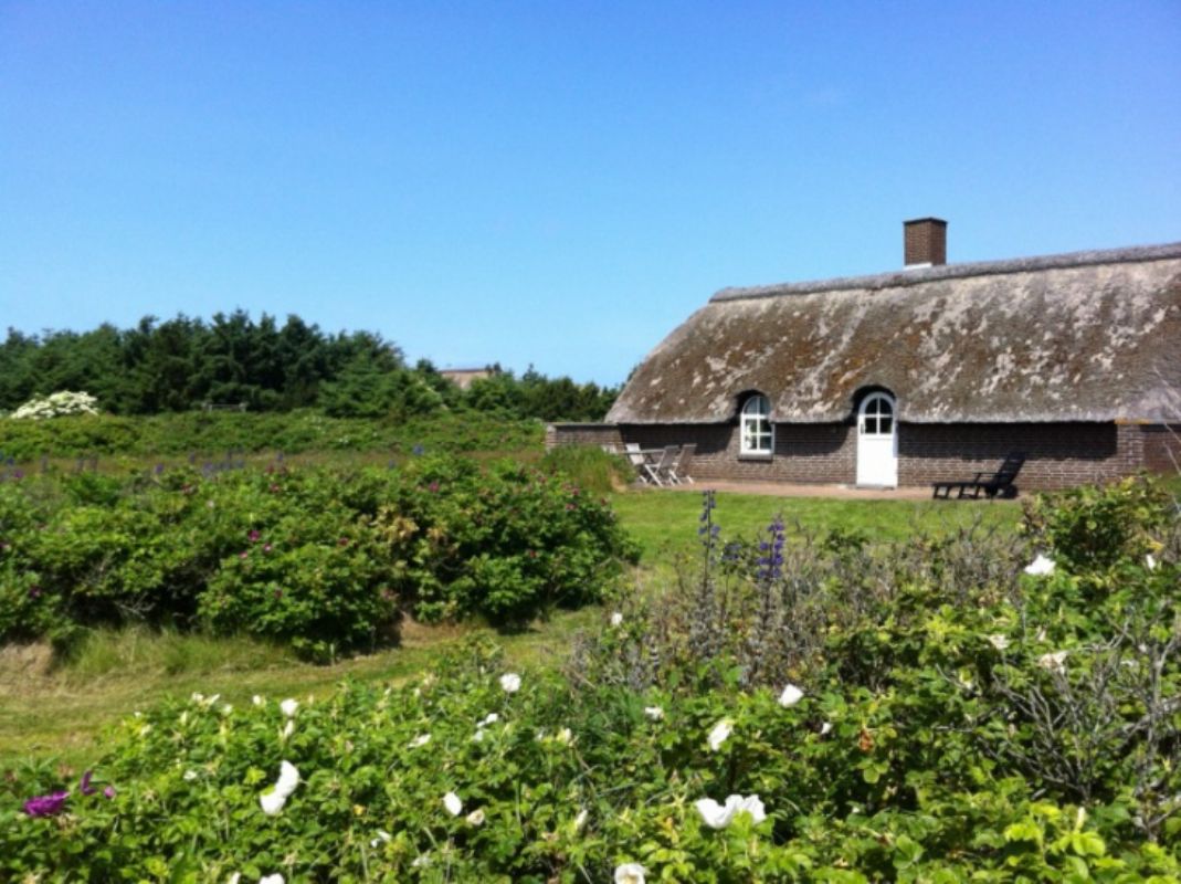 Sommerhus 3296