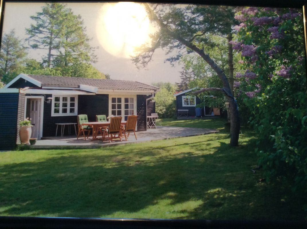Sommerhus 2819