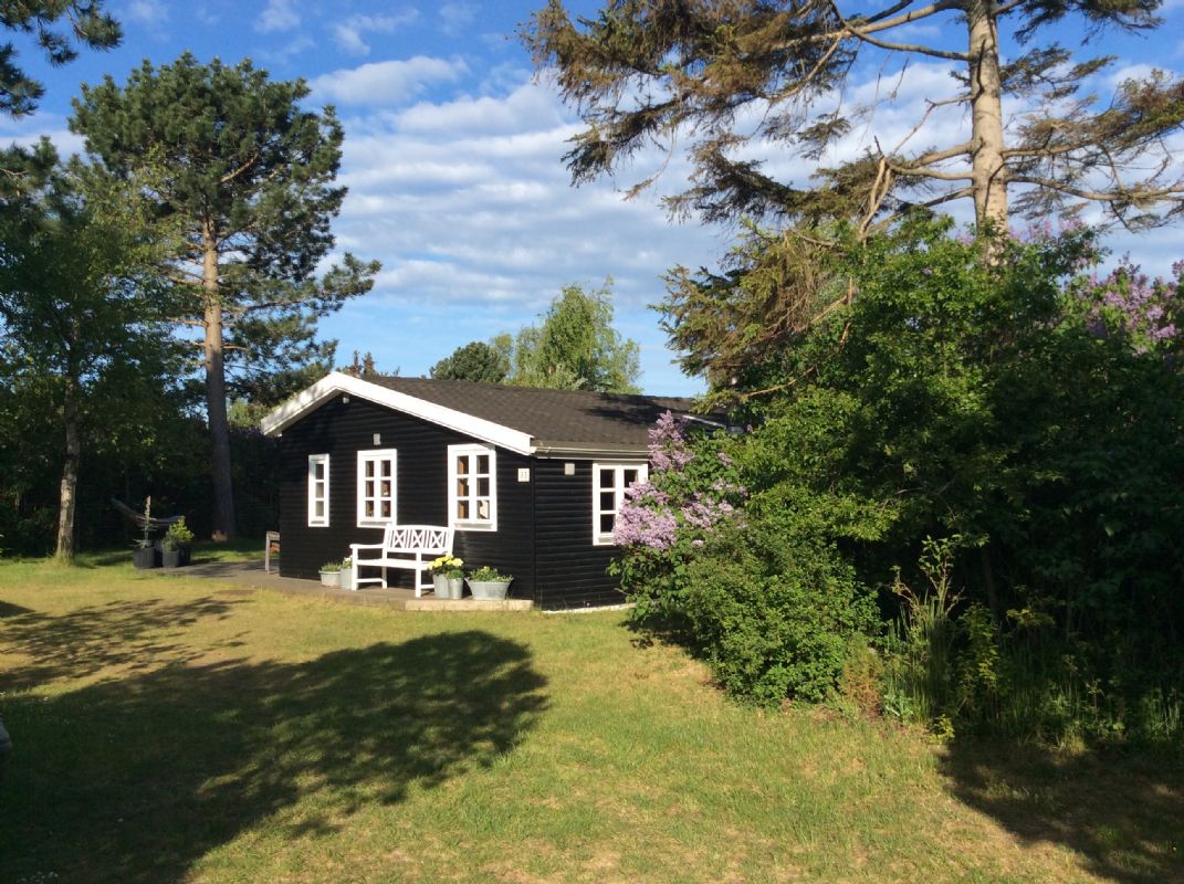 Sommerhus 2819