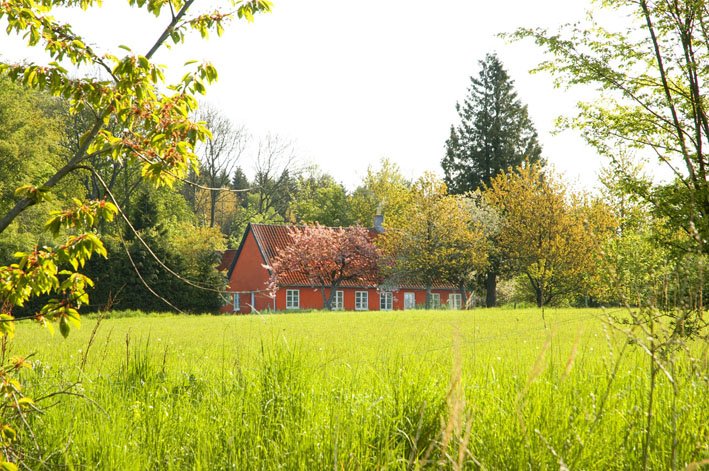Sommerhus 3159