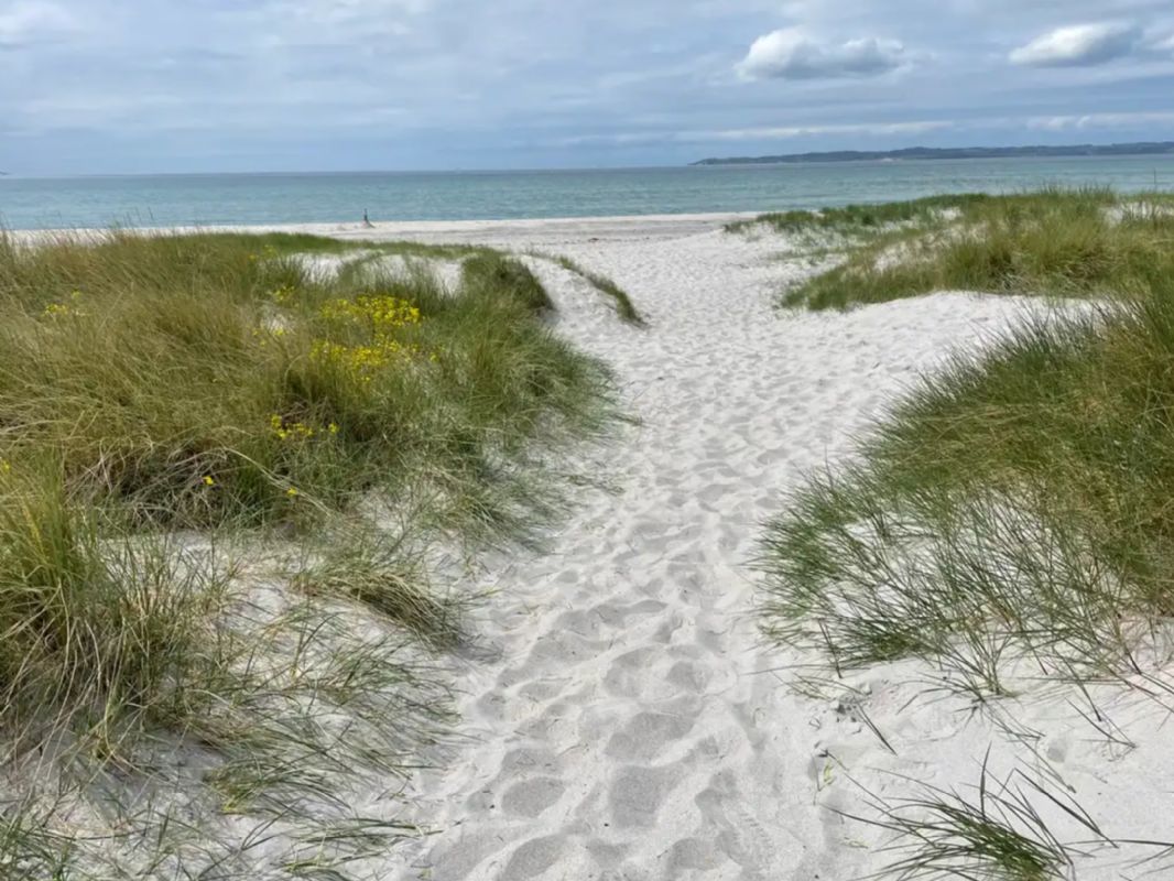 Sommerhus 3142