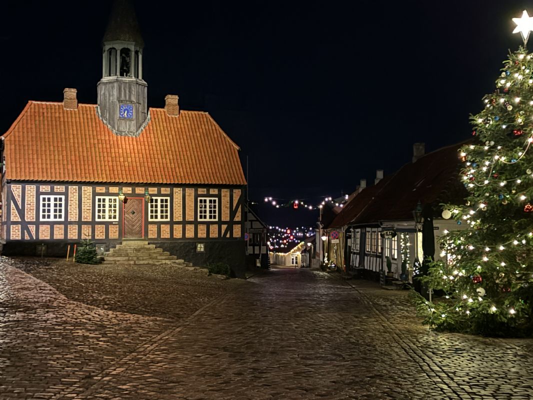 Sommerhus 3142