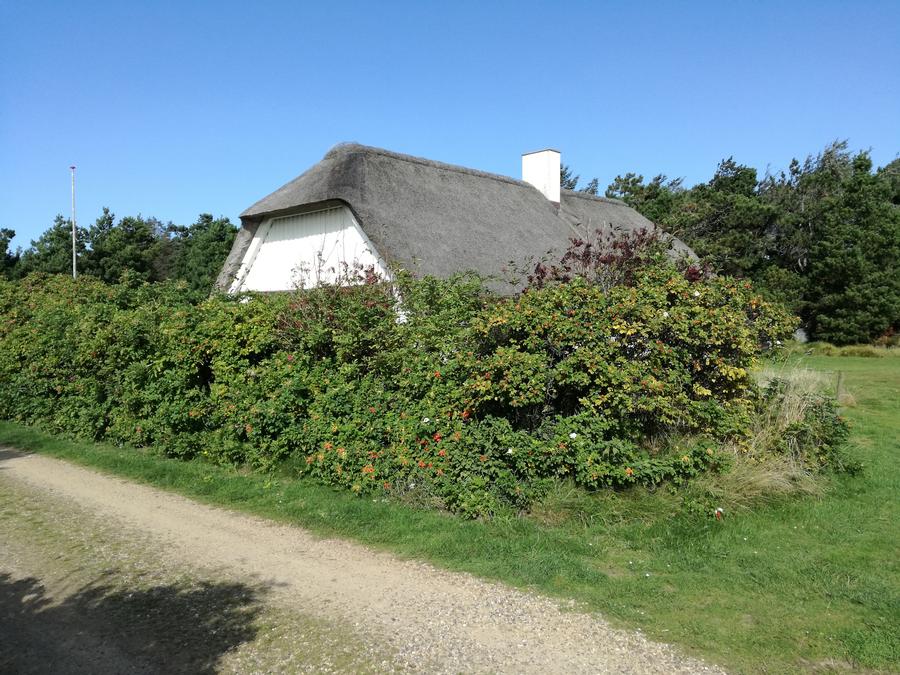 Sommerhus 3452