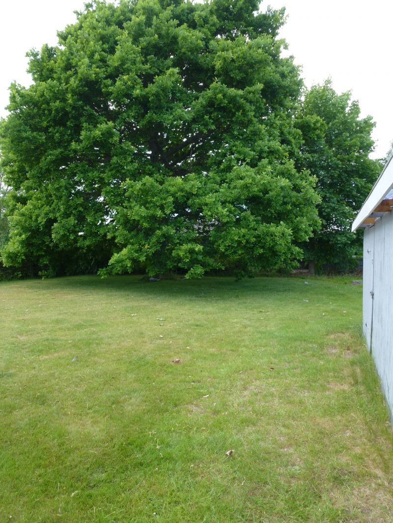 Sommerhus 3709