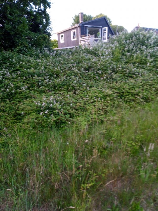Sommerhus 3712