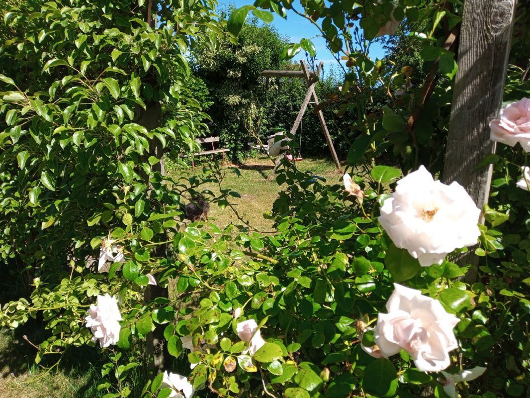 Sommerhus 3712